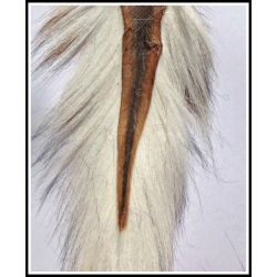 White Bucktail